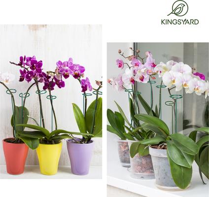 Show full view: Kingsyard 36-in Durable Bird Plant Support Stakes, Green, 20 count slide 6 of 10