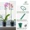 Show in main carousel: Kingsyard 36-in Durable Bird Plant Support Stakes, Green, 20 count slide 4 of 10