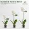 Show in main carousel: Kingsyard Durable Plant Support Stakes, Green, Small, 20 count slide 7 of 10