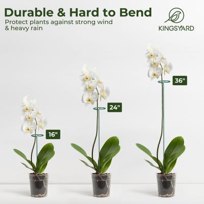 Show full view: Kingsyard Durable Plant Support Stakes, Green, Small, 20 count slide 7 of 10