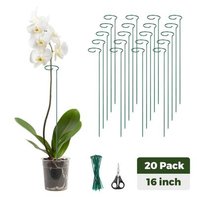Show full view: Kingsyard Durable Plant Support Stakes, Green, Small, 20 count slide 3 of 10