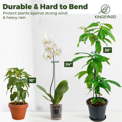Show full view: Kingsyard 36-in Durable Bird Plant Support Stakes, Green, 20 count slide 7 of 10
