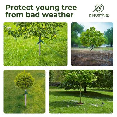 Show full view: Kingsyard Heavy Duty Tree Support Stakes, Black, Medium, 1 count slide 4 of 9