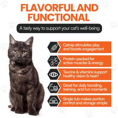 Show full view: Scoochie Pet Sensations Catnip Filled Crunchy Cat Treats, 8.8-oz tub, 1 count slide 6 of 8