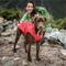 Show in main carousel: Kurgo North Country Dog Coat, Red, Small slide 5 of 12