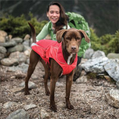 Show full view: Kurgo North Country Dog Coat, Red, Small slide 5 of 12