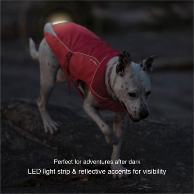 Show full view: Kurgo North Country Dog Coat, Red, Small slide 4 of 12