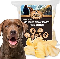 Brutus & Barnaby Premium Whole Cow Ears Puppy Natural Dog Chew - 25 count