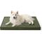 Show in main carousel: Lesure Indoor & Outdoor Waterproof Orthopedic Dog Bed with Removable Cover, Olive Green, Large slide 1 of 8