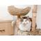 Show in main carousel: Mau Cento 46-in Modern Wooden Cat Tree & Condo, Brown slide 5 of 9