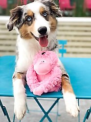 Patchwork Pet Pastell Gorilla Squeaky Dog Plush Toy slide 2 of 2