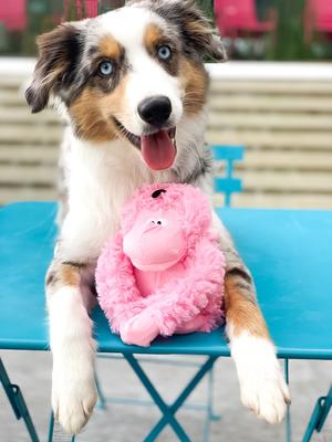 Show full view: Patchwork Pet Pastell Gorilla Squeaky Dog Plush Toy slide 2 of 2