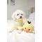 Show in main carousel: Patchwork Pet Prickles Chicken with Egg Dog Toy, 5-in slide 5 of 5
