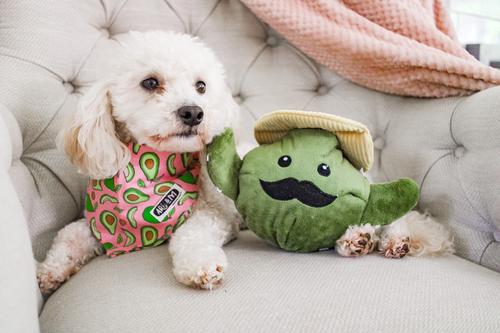 Show full view: Patchwork Pet Prickles Cactus with Cactus Dog Toy, 5-in slide 6 of 6