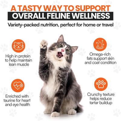 Show full view: Scoochie Pet Variety Pack Catnip Chicken & Tuna Filled Crunchy Cat Treats, 8.8-oz tub, 3 count slide 6 of 9