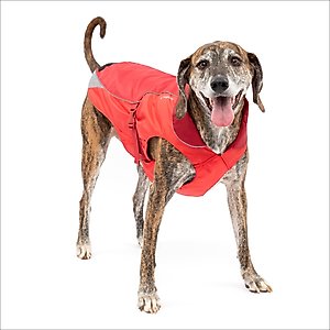 Canada Pooch True North Insulated Dog Parka