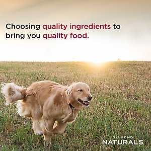 Diamond Naturals Chicken & Rice Formula All Life Stages Dry Dog Food, 40-lb bag