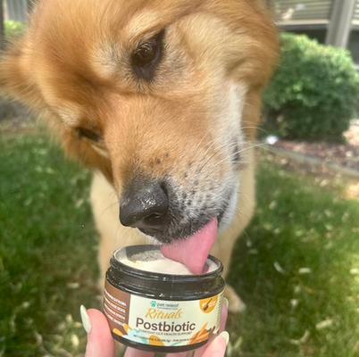 Show full view: Pet Releaf Rituals Postbiotic Gut Health Powder Digestive Aid Supplement for Dogs & Cats, 2-oz jar slide 5 of 10