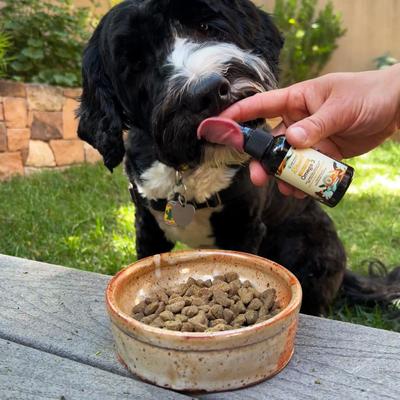 Show full view: Pet Releaf Rituals Omega 3 Algae Liquid Skin & Coat Supplement for Dogs & Cats, 2-oz jar slide 5 of 10