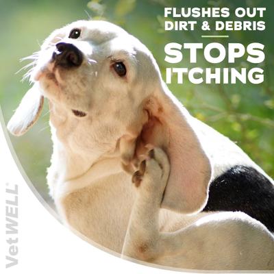 Show full view: VetWELL EarWELL Otic Cleansing Solution with Aloe Cucumber Melon Scent Dog & Cat Ear Solution, 8-fl oz bottle slide 4 of 9