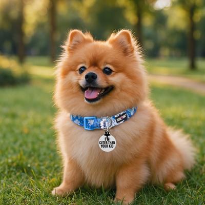 Show full view: Rebel Dawg "I'm Cuter Than Your Kid" Dog & Cat ID Tag, Clear, One Size slide 5 of 6