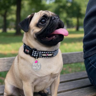 Show full view: Rebel Dawg "What Do You Mean I'm Adopted?" Dog & Cat ID Tag, Silver, One Size slide 4 of 5