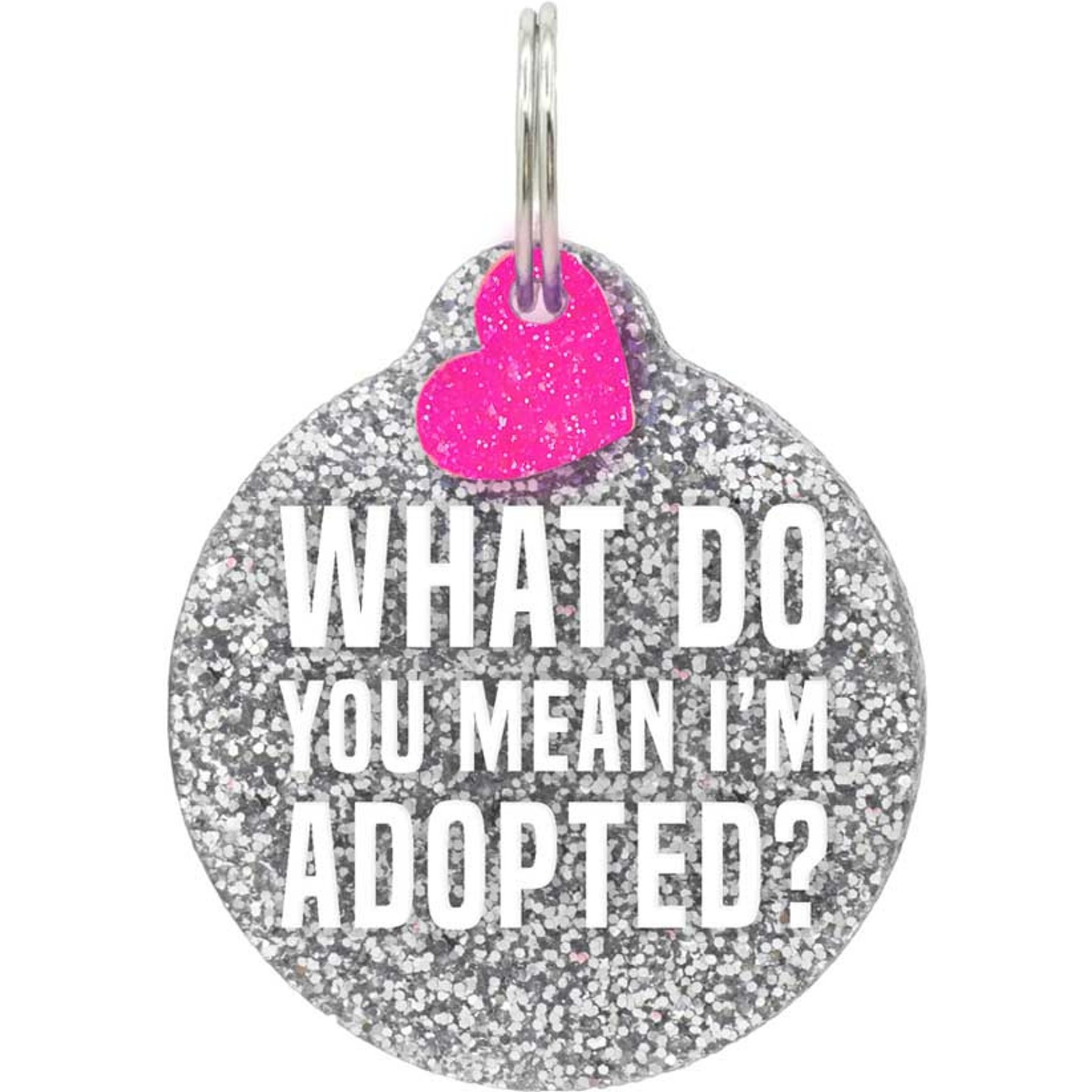 Rebel Dawg "What Do You Mean I'm Adopted?" Dog & Cat ID Tag, Silver, One Size