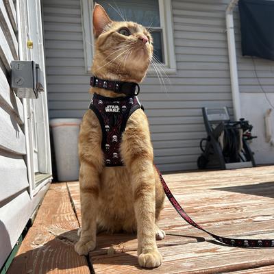 Show full view: Sassy Woof STAR WARS The Dark Side Step-In Cat Harness, Medium: 16 to 18-in chest slide 6 of 7