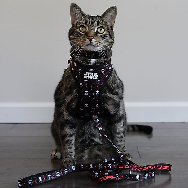 Show full view: Sassy Woof STAR WARS The Dark Side Cat Leash, 6-ft long, 0.6-in wide slide 4 of 5