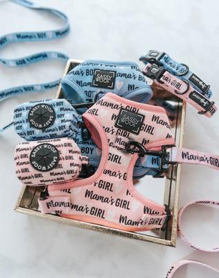 Show full view: Sassy Woof Mama's Boy Adjustable Dog Harness, XX-Small: 10 to 14-in chest slide 4 of 6