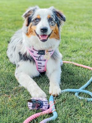 Show full view: Sassy Woof Mama's Girl Dog Poop Bag Dispenser slide 5 of 6