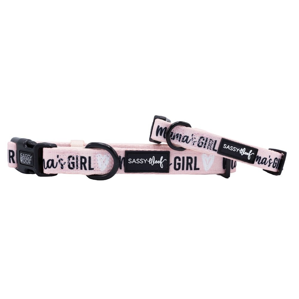 Sassy Woof Mama's Girl Dog Collar, Large: 26-in Neck, 1-in Wide