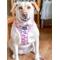 Show in main carousel: Sassy Woof Mama's Girl Adjustable Dog Harness, Medium: 18 to 25-in chest slide 6 of 7