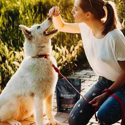 Show full view: Blackwood Single Ingredient 100% Beef Liver Grain-Free Adult Freeze-Dried Dog Treats, 3-oz bag slide 7 of 9