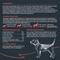 Show in main carousel: Blackwood Meal Toppers Cod & Salmon Recipe High-Protein Freeze-Dried Dog Food Topper, 8-oz bag slide 6 of 9