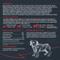 Show in main carousel: Blackwood Meal Toppers Beef & Sweet Potato Recipe High-Protein Freeze-Dried Dog Food Topper, 8-oz bag slide 6 of 9