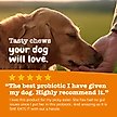 Show in main carousel: Zesty Paws Probiotic Bites Pumpkin Flavored Soft Chews Gut Flora & Digestive Supplement for Dogs, 10 count slide 5 of 10
