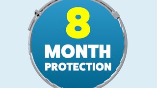 8 month protection
