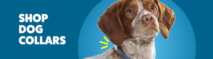 Shop dog collars