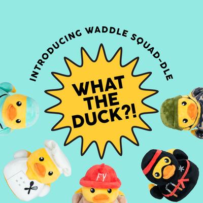 Show full view: FuzzYard Ducktor Squeaky Plush Dog Toy slide 8 of 9