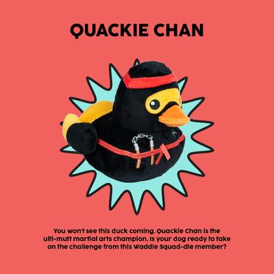 Show full view: FuzzYard Quackie Chan Squeaky Plush Dog Toy slide 7 of 9