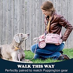 Puppington Reflective Padded Dog & Cat Leash, Onyx Black, 6-ft long, 1-in wide slide 2 of 7