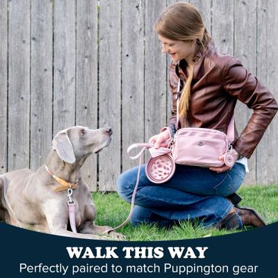 Show full view: Puppington Reflective Padded Dog & Cat Leash, Charcoal Gray, 6-ft long, 1-in wide slide 6 of 8