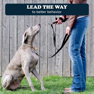 Show full view: Puppington Reflective Padded Dog & Cat Leash, Onyx Black, 6-ft long, 1-in wide slide 7 of 8