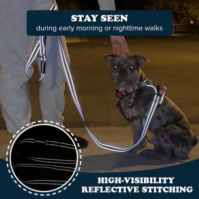 Show full view: Puppington Reflective Padded Dog & Cat Leash, Charcoal Gray, 6-ft long, 1-in wide slide 5 of 8