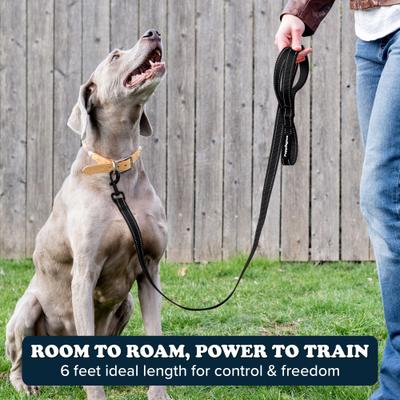 Show full view: Puppington Reflective Padded Dog & Cat Leash, Onyx Black, 6-ft long, 1-in wide slide 4 of 8