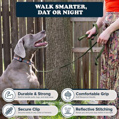 Show full view: Puppington Reflective Padded Dog & Cat Leash, Basil Green, 6-ft long, 1-in wide slide 3 of 8