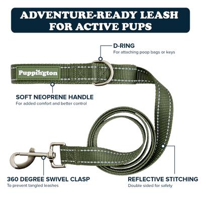 Show full view: Puppington Reflective Padded Dog & Cat Leash, Basil Green, 6-ft long, 1-in wide slide 2 of 8