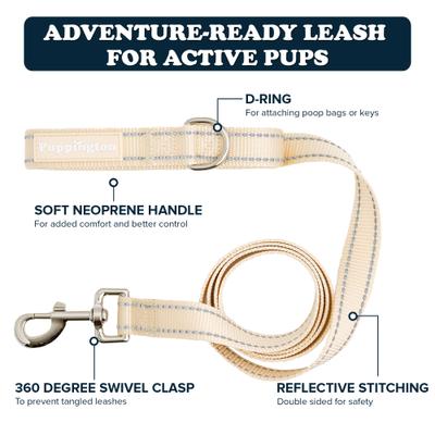 Show full view: Puppington Reflective Padded Dog & Cat Leash, Vanilla Cream, 6-ft long, 1-in wide slide 2 of 8