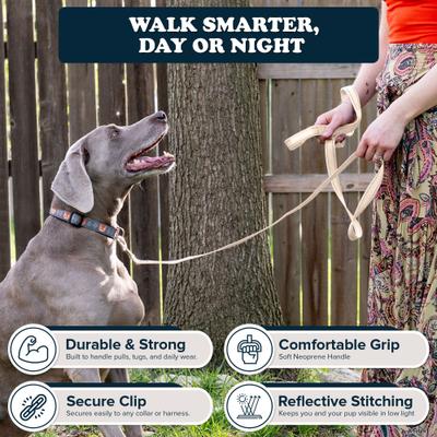 Show full view: Puppington Reflective Padded Dog & Cat Leash, Vanilla Cream, 6-ft long, 1-in wide slide 3 of 8